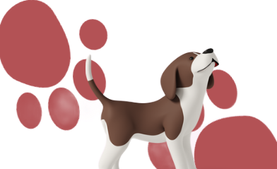 Собака и лапки